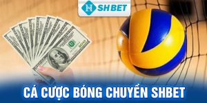 cá cược bóng chuyền SHBET